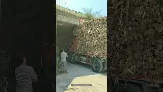 Process Of The Truck Loaded With Wood Passing Through The Bridge Opening !