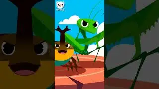 Lets Go! Insect Rangers💪🏻 | Insect Heroes | Insect Comics | Insect Song | Kids Song | TOMTOMI