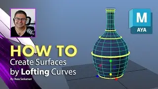 How To : Create Surfaces by Lofting Curves in Maya