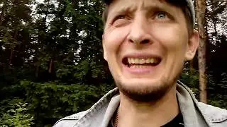 На что способна обычная собака. Нюх зашкаливает