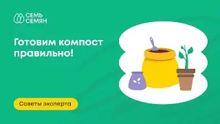 Готовим компост правильно! Советы эксперта