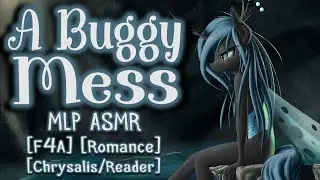 [MLP ASMR] 'A Buggy Mess' by BradyBunch (Romance - Chrysalis/Reader - F4A)