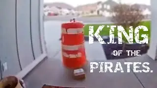 The Greatest Porch Pirate I’ve Ever Seen