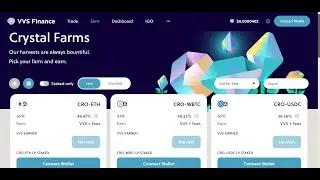 VVS Finance and Single Finance Review! Single Finance IGO!