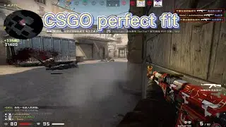 CS GO perfect fit