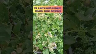 Отличный подарок на любой праздник 