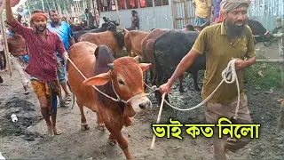 Bhai koto Nilo || Sirajganj Boalia Gorur hat 2024-Part 13 || Qurbani Cow price in Bangladesh