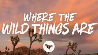 Luke Combs - Where the Wild Things Are (Lyrics)