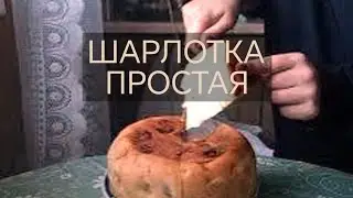 Шарлотка простая. 