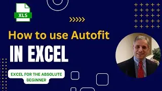 How to use Autofit in Excel