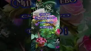 Добрый вечер ! 🌹💛