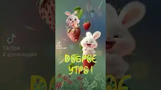 Доброе утро !🌿🌺🌿😊🦋💛#доброеутро #пожеланиедлядрузей #пожелания