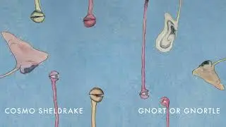 Cosmo Sheldrake - Gnort or Gnortle