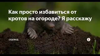 Как поймать крота. Как избавиться. Кротоловка. Отзывы покупателей №5.