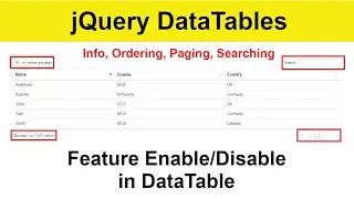 05 - How to enable/disable DataTable features with Source Code || Info, ordering, paging & searching