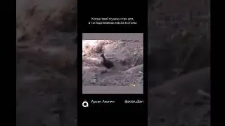 Психологические разборы  