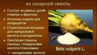 БИ- ЛУРОН.От создателя как и почему действует.Опорно-двигательный аппарат,межпозвоночные грыжи и др.