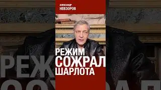 Клятвы в верности режиму не помогли Шарлоту #невзоров