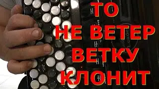 ТО НЕ ВЕТЕР ВЕТКУ КЛОНИТ Разбор на баяне