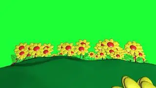 ФУТАЖ ЦВЕТЫ АНИМАЦИЯ