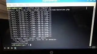Raspberry Pi http Request
