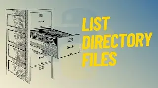How To List Files In A Directory In Python