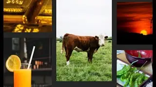 Commodity Prices - Acquisition and Analysis using SQL and Python Part 1
