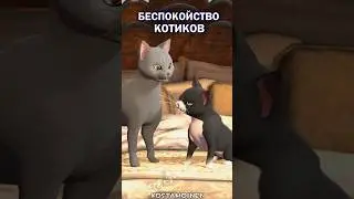 О чем думают кошки 