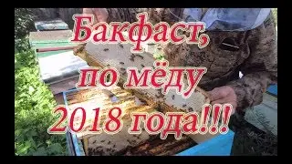 КАК СРАБОТАЛ ТЕСТИРУЕМЫЙ БАКФАСТ на медосборе в условиях стационара🔥🔥🔥