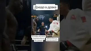 Дзюдо в MMA