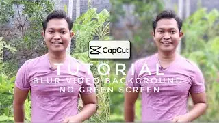 Cara Edit BACKGROUND VIDEO Jadi nge BLUR - TANPA Green Screen