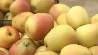 Поселения Амурского района  - Литовко
