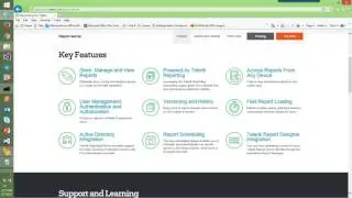 Building Versatile Reporting Dashboards with Telerik Reporting Server