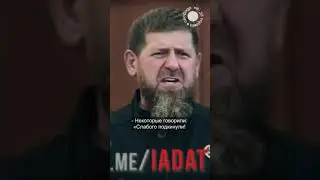 Кадыров VS фанаты MMA 