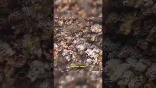 обслуживание кораблей 