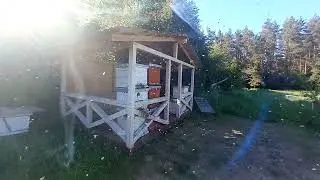 Прилетел рой пчёл