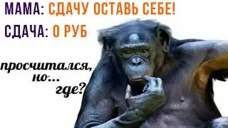 ПРОСЧИТАЛСЯ... НО ГДЕ? ))) | Приколы | Мемозг 1274