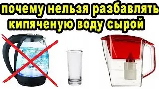 Никогда не разбавляй кипяченую воду сырой почему так делать нельзя