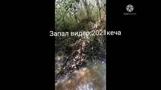 Запал видео 2021 янгиси    1080P HD