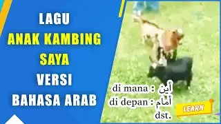 Lagu Anak Kambing Versi Bahasa Arab | Aina di mana Amama di depan dst.