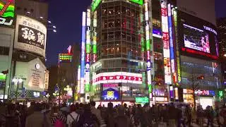Pedestrians Crossing Road in Tokyo at Night - Copyright Free Stock Footage Clip