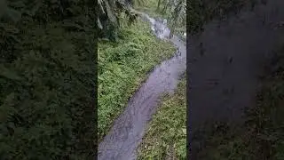 Water flowing Under the Bridge #waterinflow #waterreservoir #riversand #riverflow