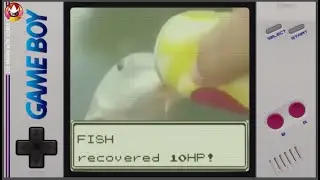 Pokemon The Game Where You Give Your Fish Soda