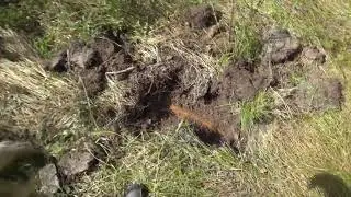 Коп металлолома. Оставляем большое железо людям...