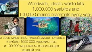 The planet is dying , земля умирает , очистка мусора и пластики , животные умирают
