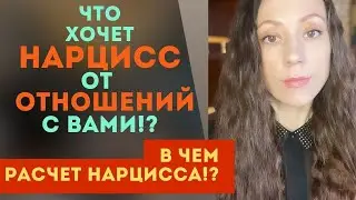 Что хочет НАРЦИСС? Его НАДЕЖДЫ в отношениях с вами! В чем РАСЧЕТ НАРЦИССА!?