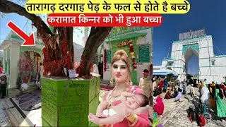 Taragarh dargah ped ka fal khane se hote he bacche karamat kinnar ko bhi hua baccha | तारागढ़ दरगाह