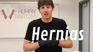 What Are Hernias?