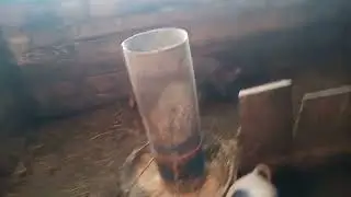 Наконец то дождались! Канторята,сложный опорос. преображение.