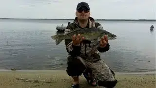 Ловля судака . Как ловить судака. Селец.